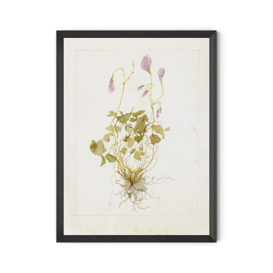 #color_1.0-brimfield-black