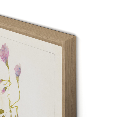 Oxalis Debilis No. 1 By Laurel-Dawn Latshaw by Four Hands