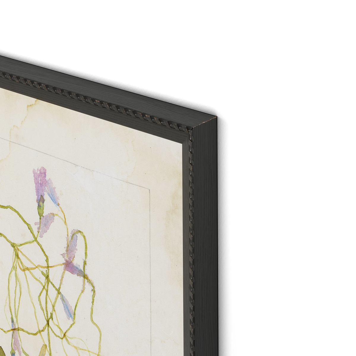 #color_1.0-brimfield-black