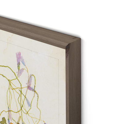 Oxalis Debilis No. 2 By Laurel-Dawn Latshaw by Four Hands