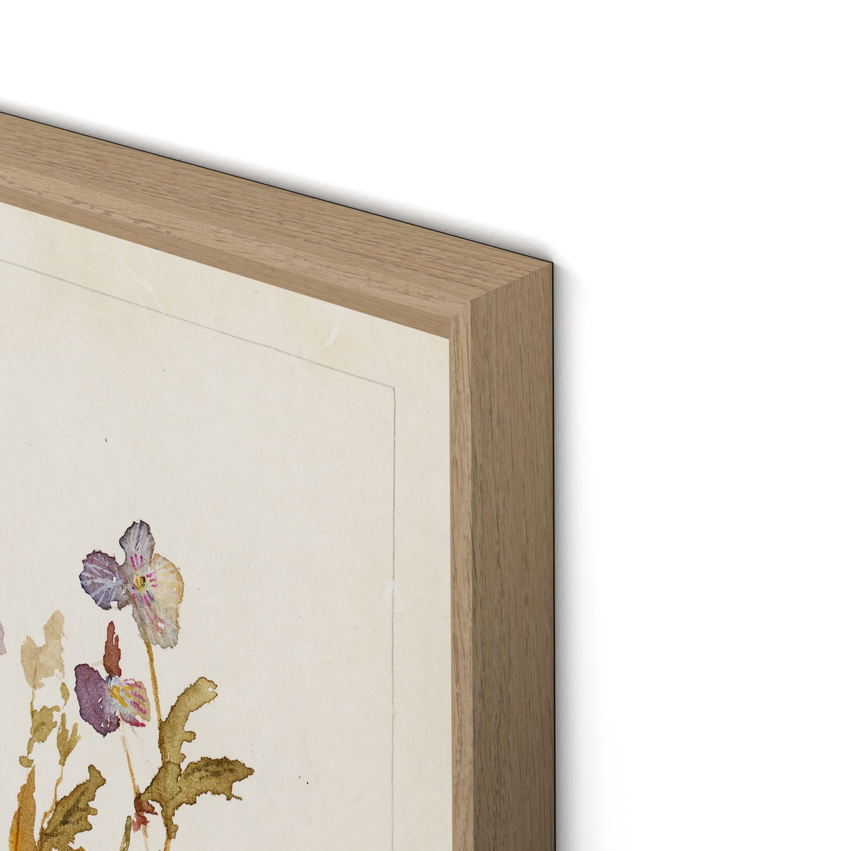#color_rooftop-1.5-vertical-grain-white-oak