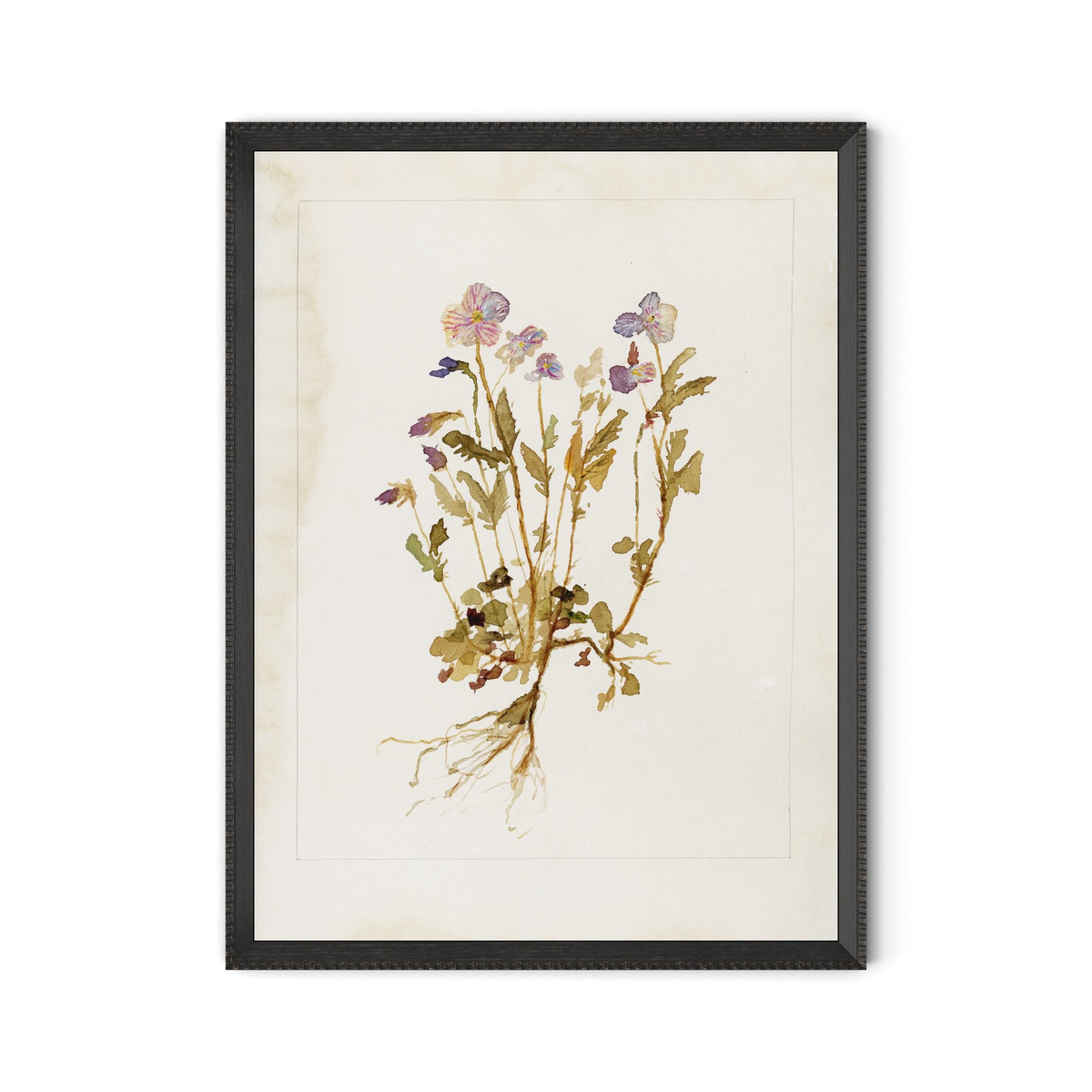 #color_1.0-brimfield-black