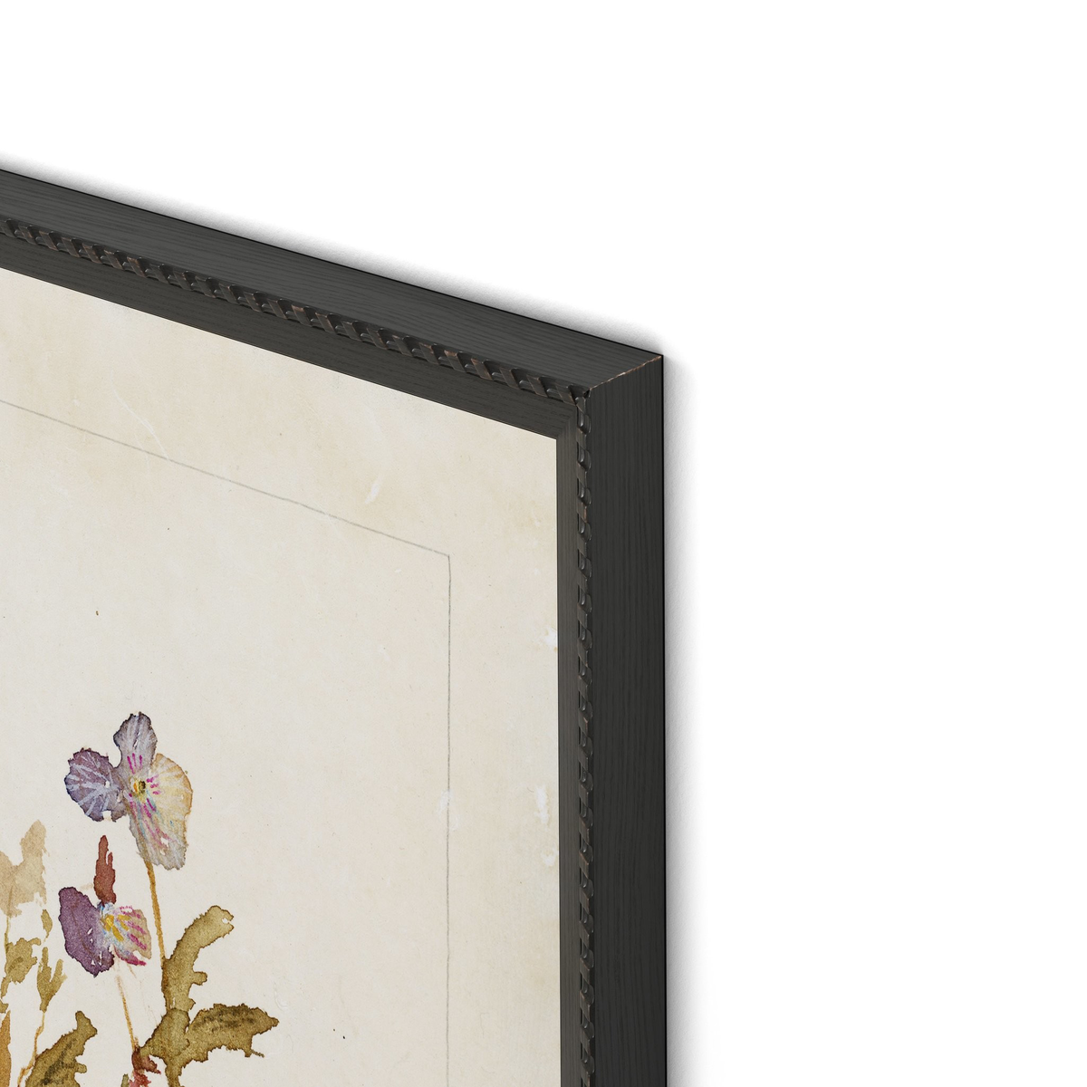 #color_1.0-brimfield-black
