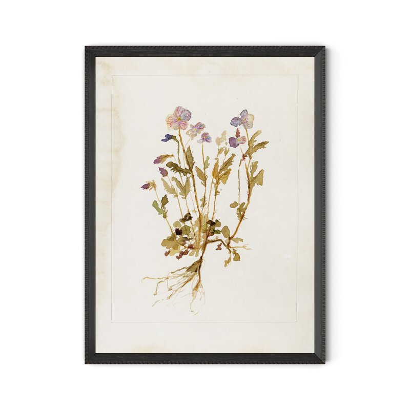 #color_1.0-brimfield-black