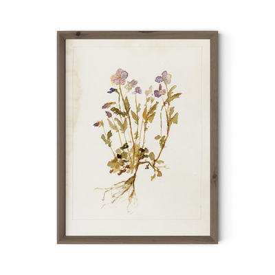 Viola No. 2 By Laurel-Dawn Latshaw by Four Hands