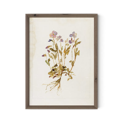 Viola No. 2 By Laurel-Dawn Latshaw by Four Hands