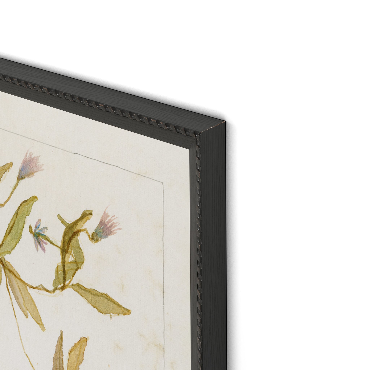 #color_1.0-brimfield-black