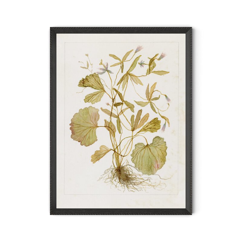 #color_1.0-brimfield-black