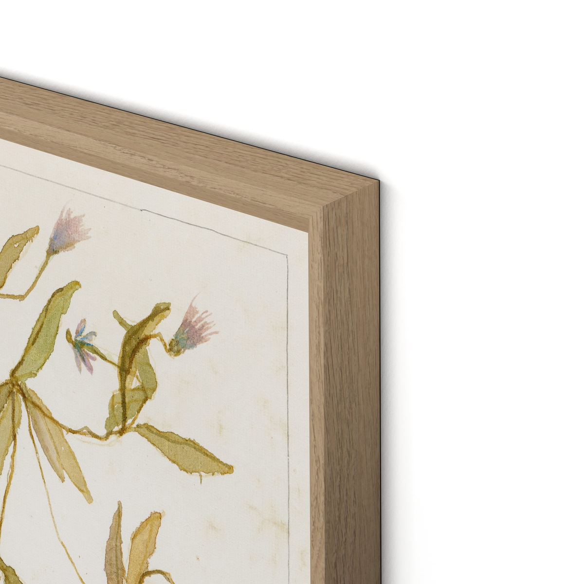 #color_rooftop-1.5-vertical-grain-white-oak