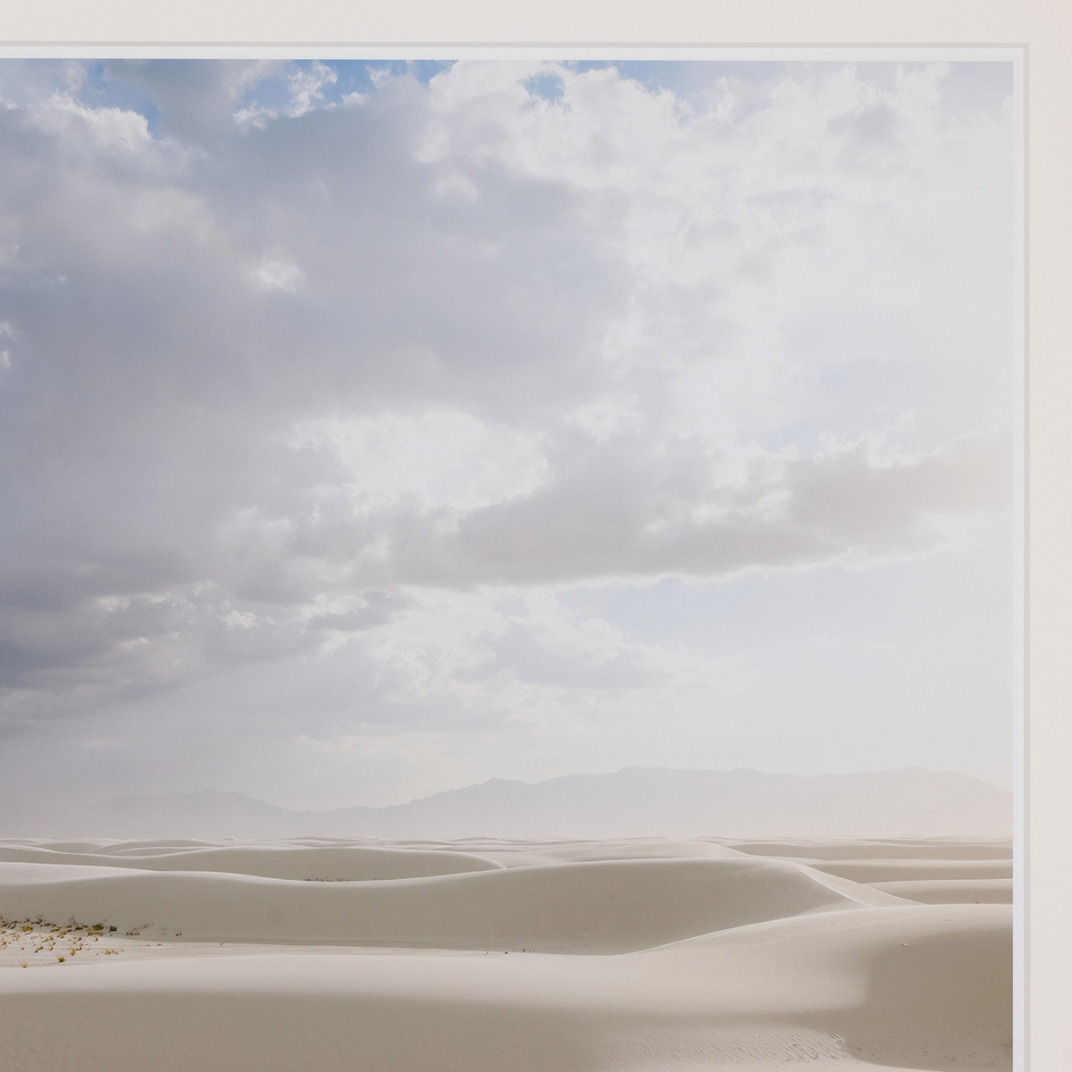 Desert Rain By Wesley And Emma Teague by Four Hands