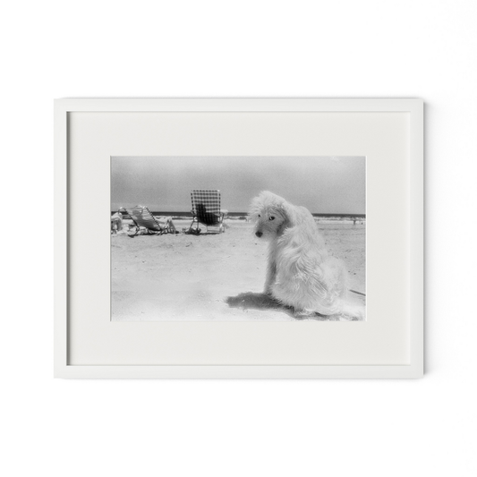 #color_white-1.5-maple