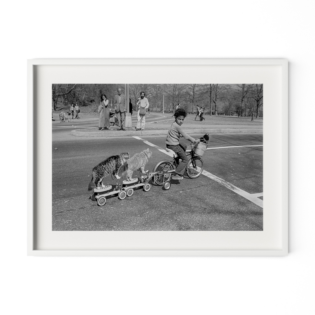 Taking The Cats For A Ride By Barbara Alper by Four Hands