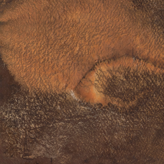 Deep Earth Diptych By Brooke Noel Morgan by Four Hands