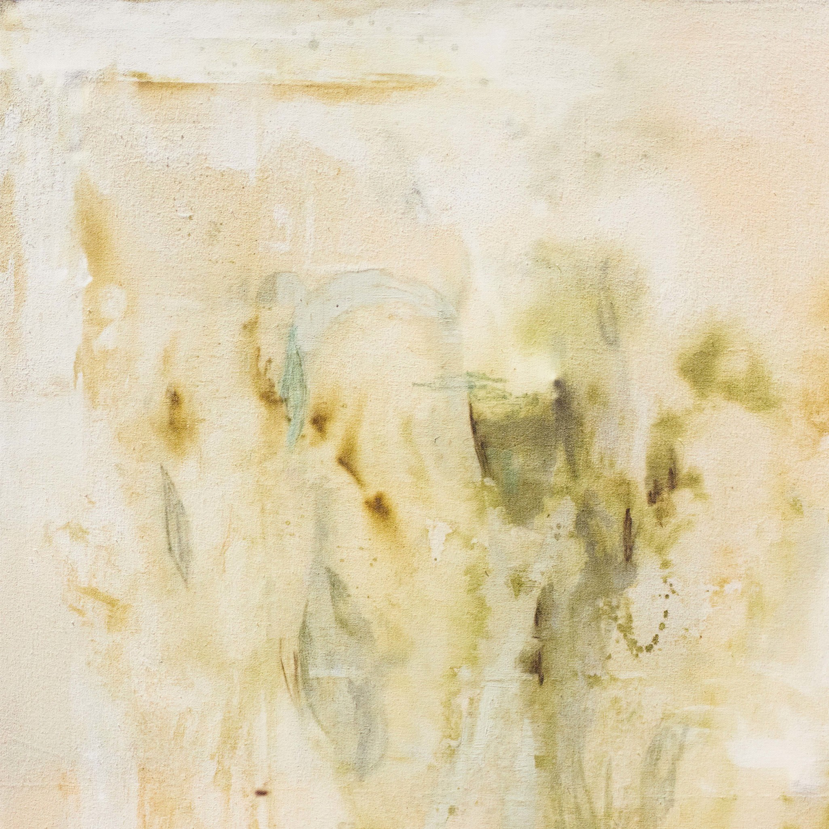 The Unruliness Of Growing Things By Kristen Abbott by Four Hands