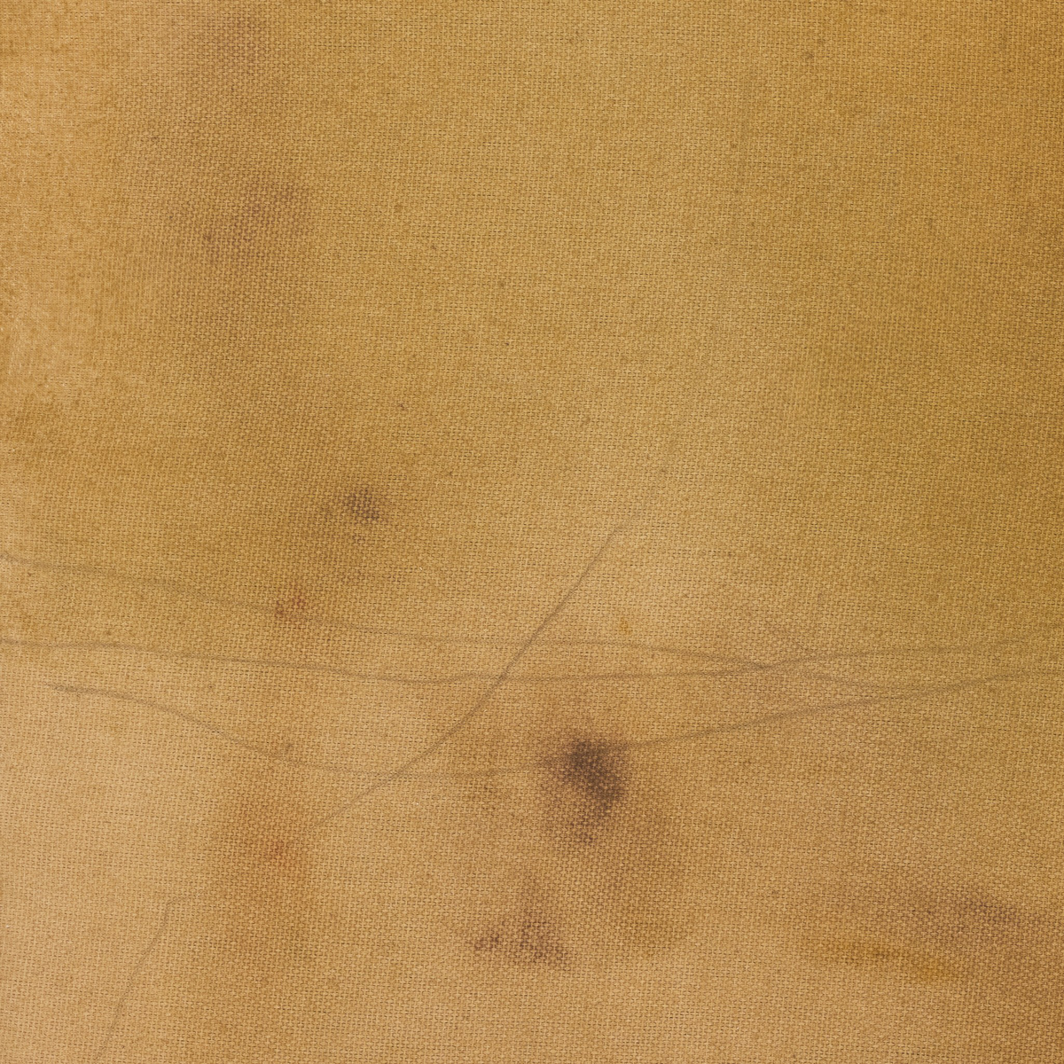 Gold Wash Abstract By Lauren Fuhr by Four Hands