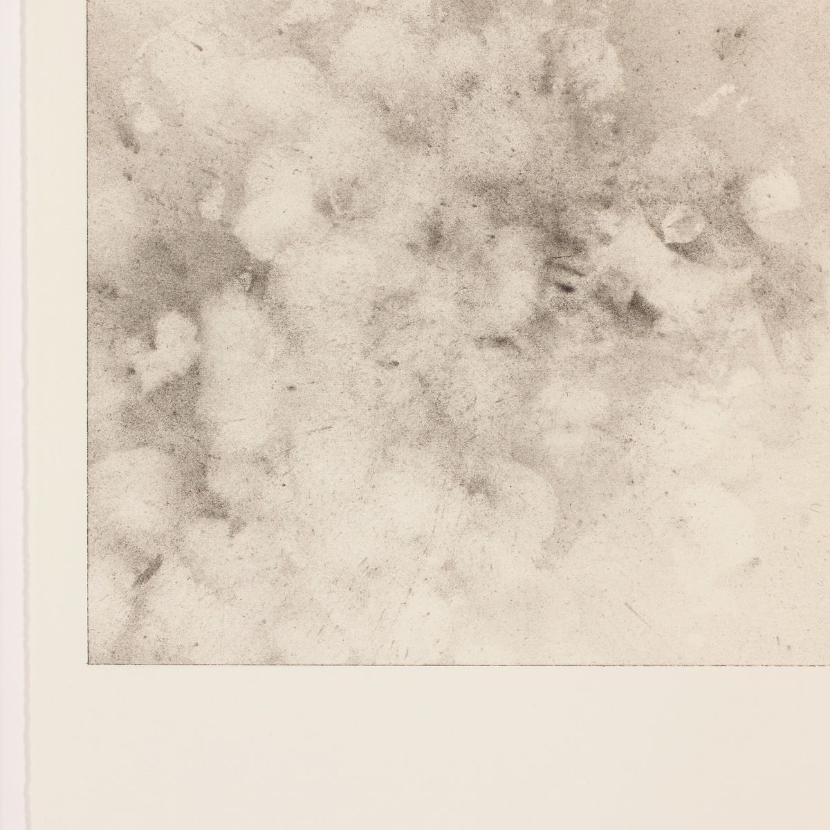 Breath Drawing Xxv By Adrián White by Four Hands