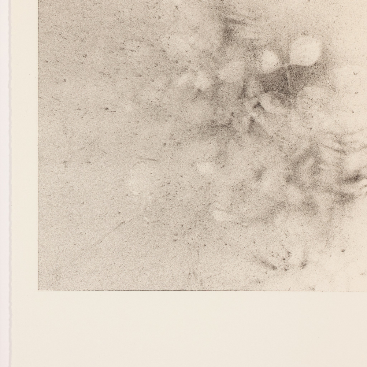 Breath Drawing Xxvii By Adrián White by Four Hands
