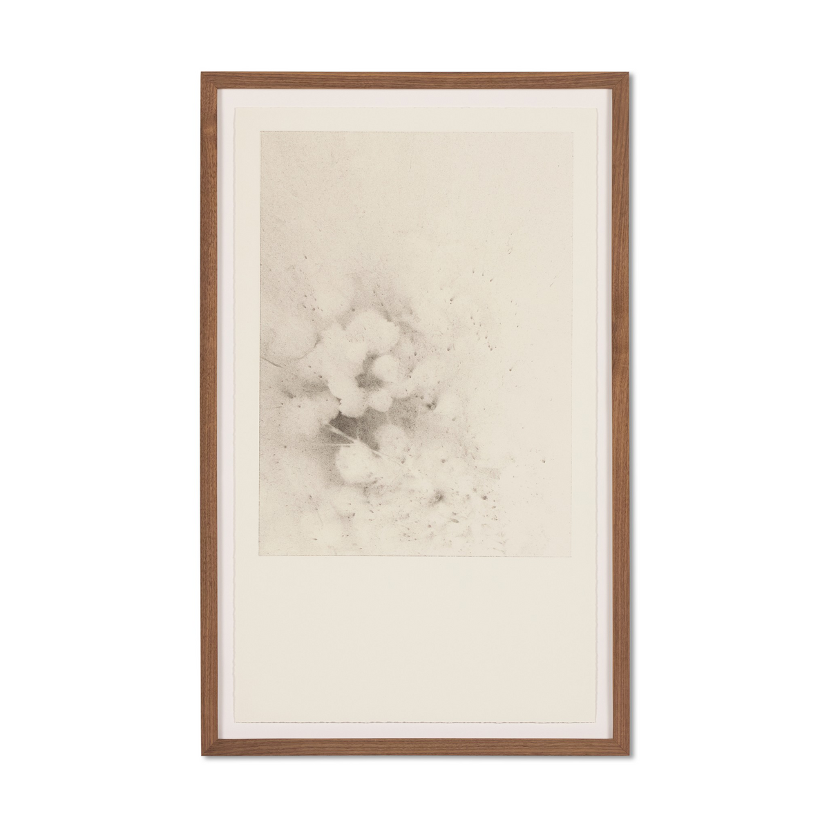#color_rustic-1.5-walnut