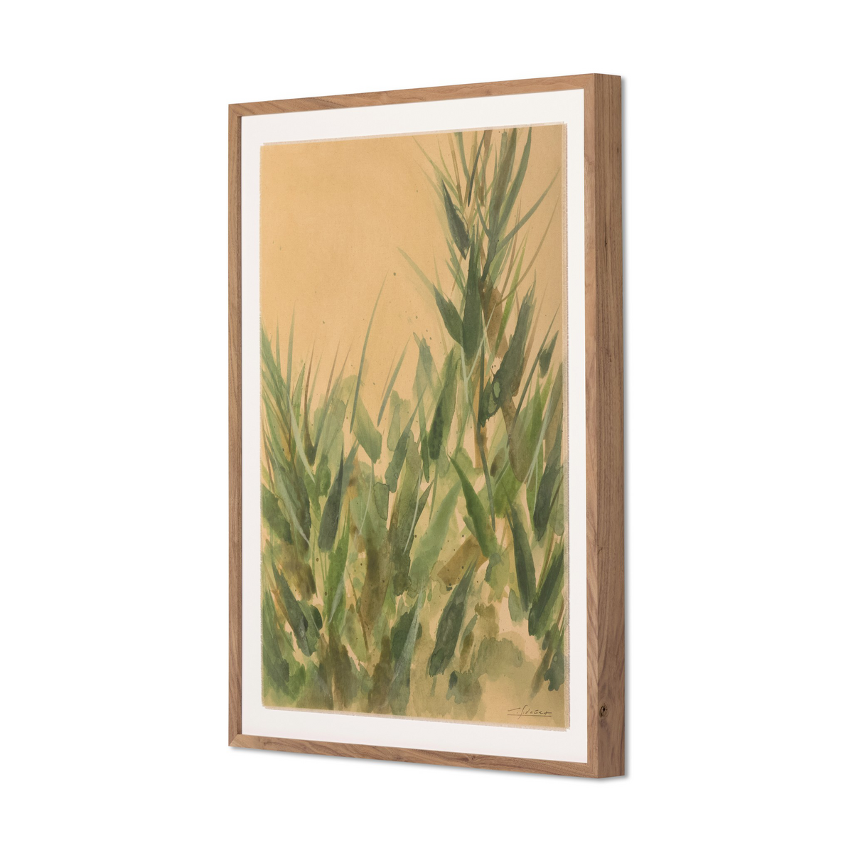Nature No. 15 By Valeria Sidañez by Four Hands
