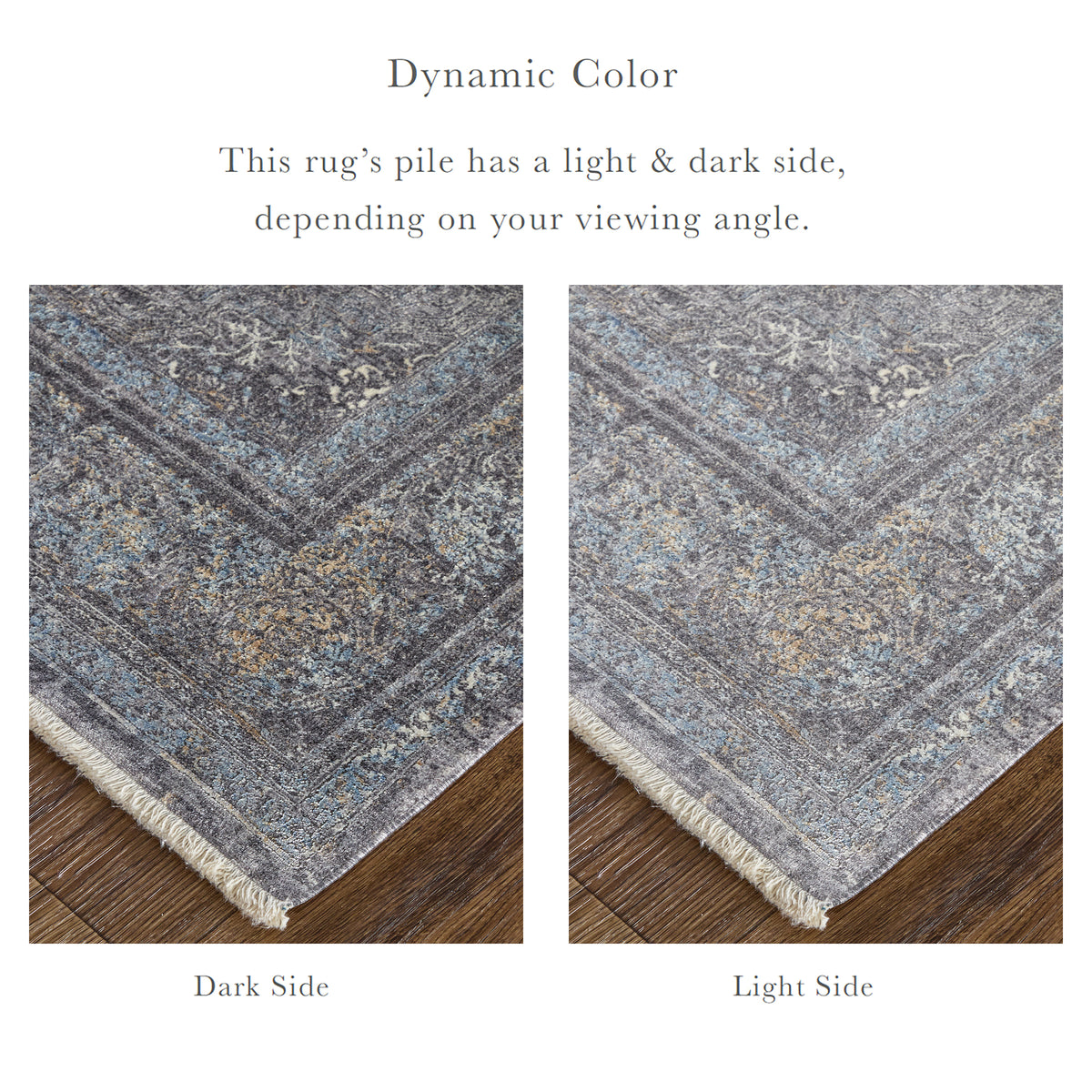 Sarrant 3967F Charcoal Rug by Feizy