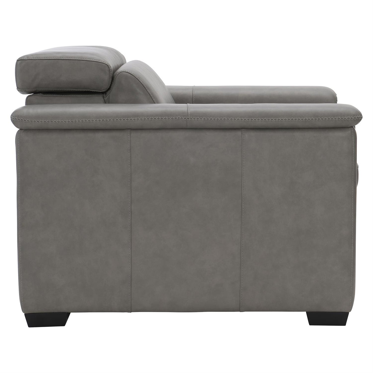 Lioni Leather Power Motion Chair (9562RO) by Bernhardt