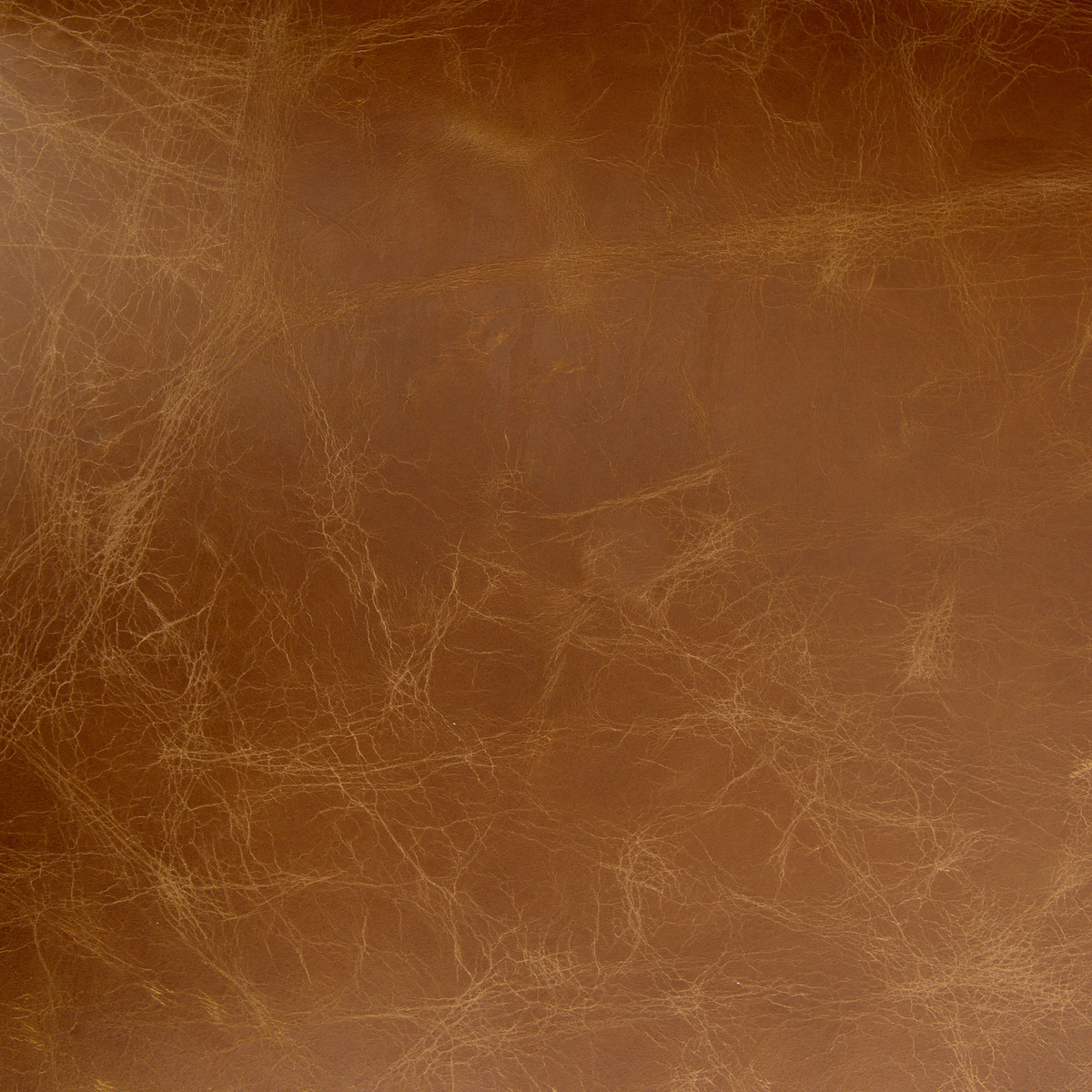 #color_sienna-chestnut