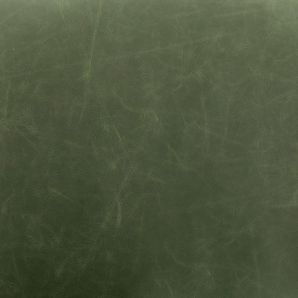 #color_eden-sage