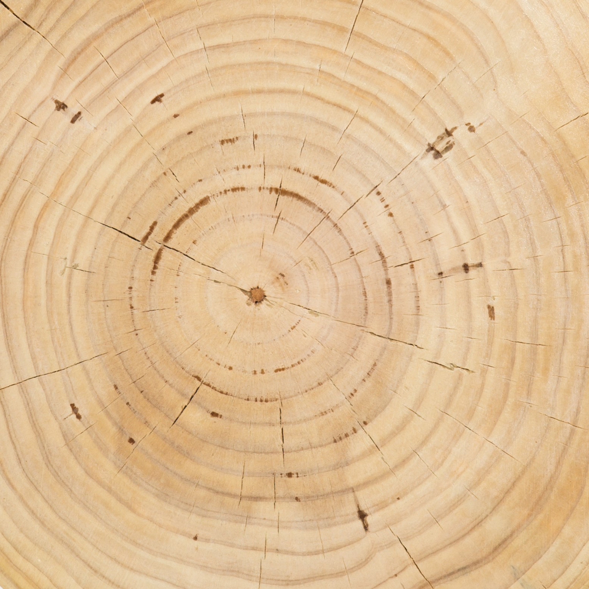 #color_natural-pine