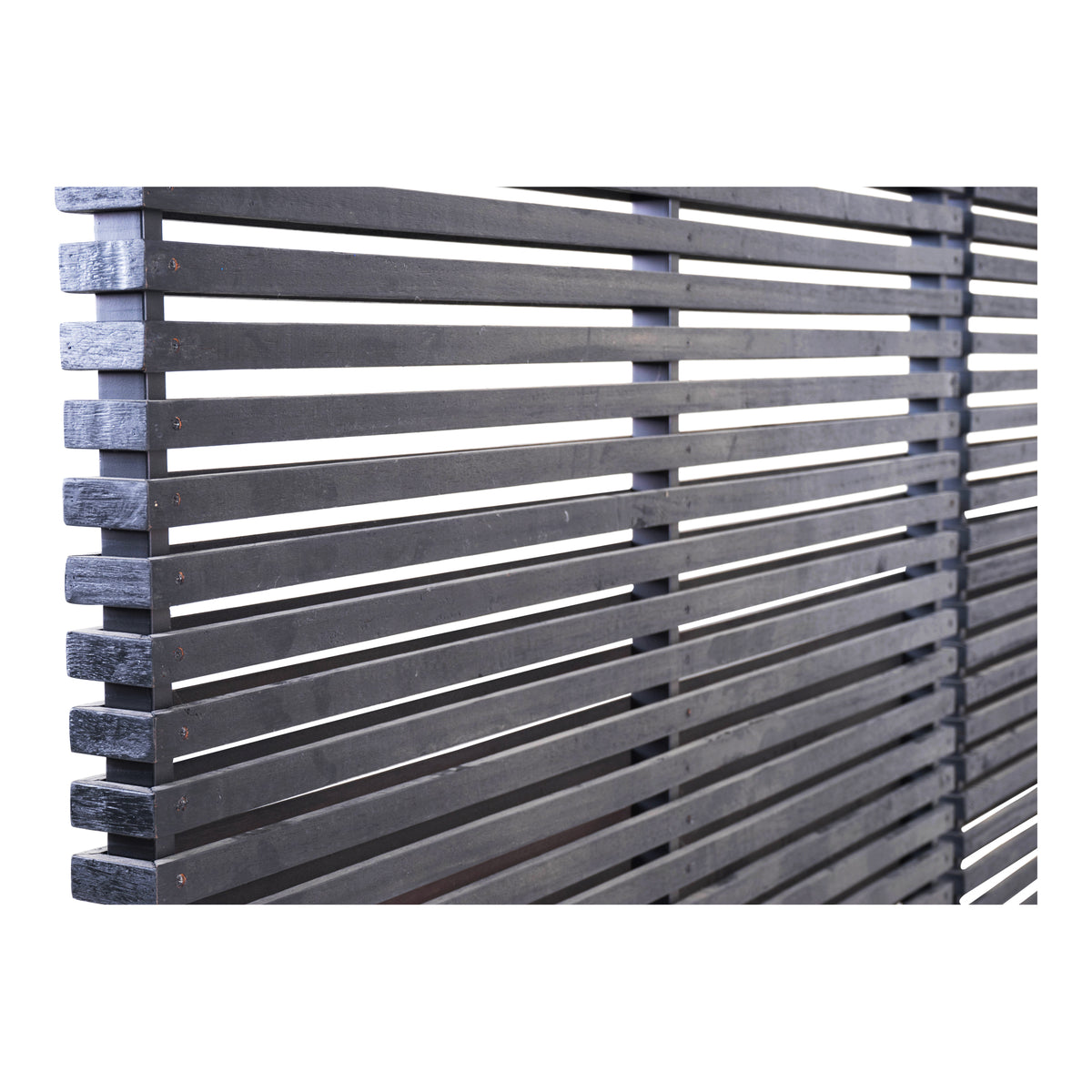 Damani Screen Black by Moe's Home