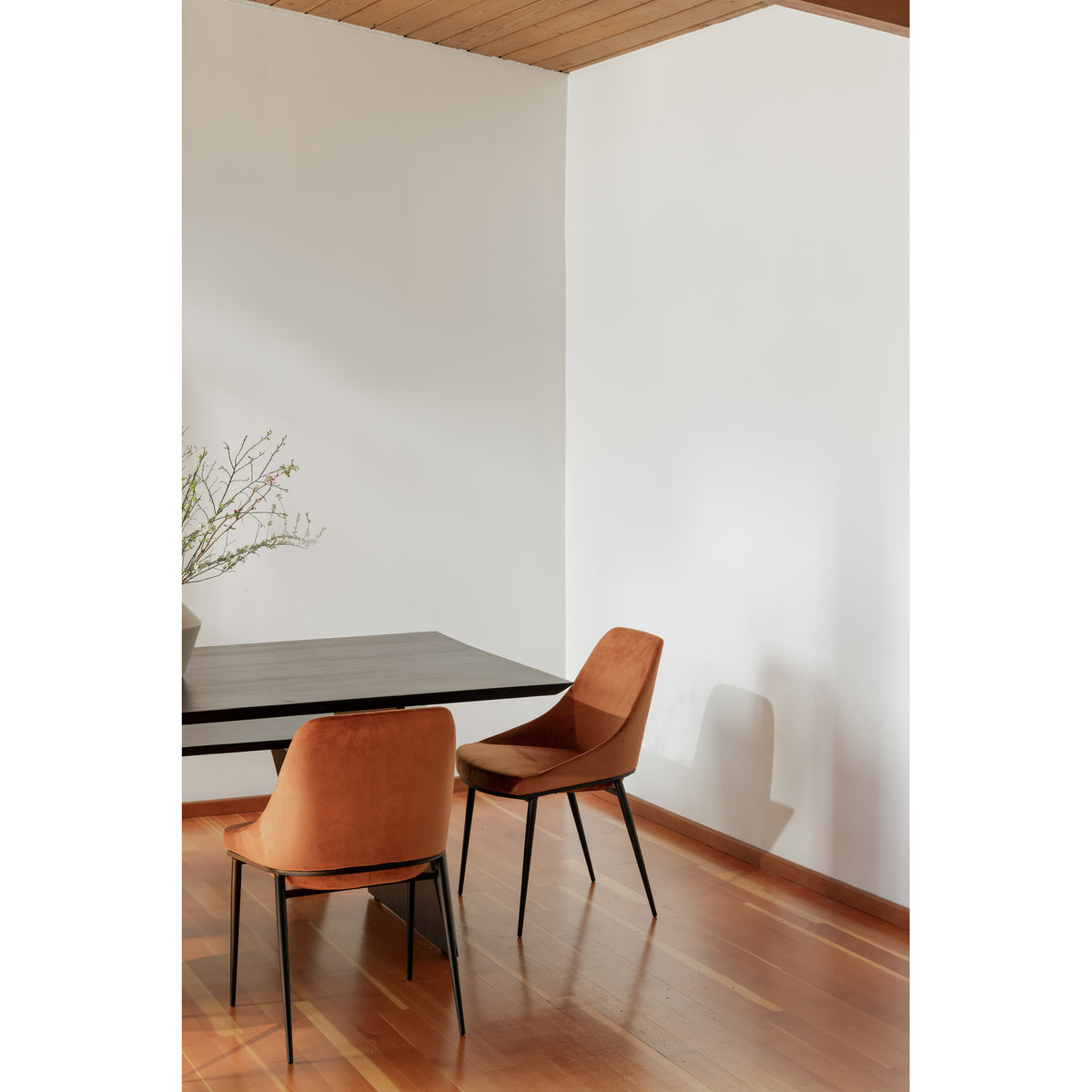 Sedona Dining Chair Amber - Set Of Two by Moe's Home
