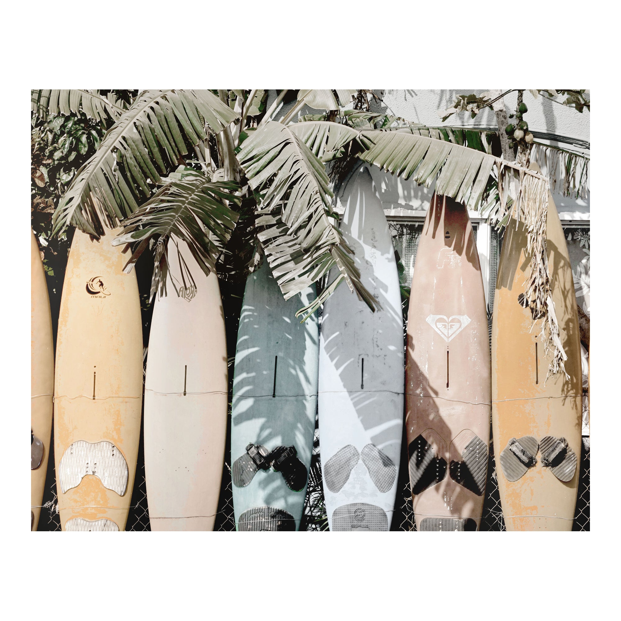 Surfs Up Wall Décor Multi Color