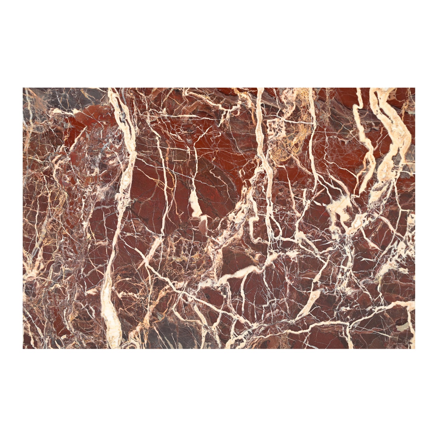 Rosa Coffee Table Rosso Levanto Marble by Moe's Home