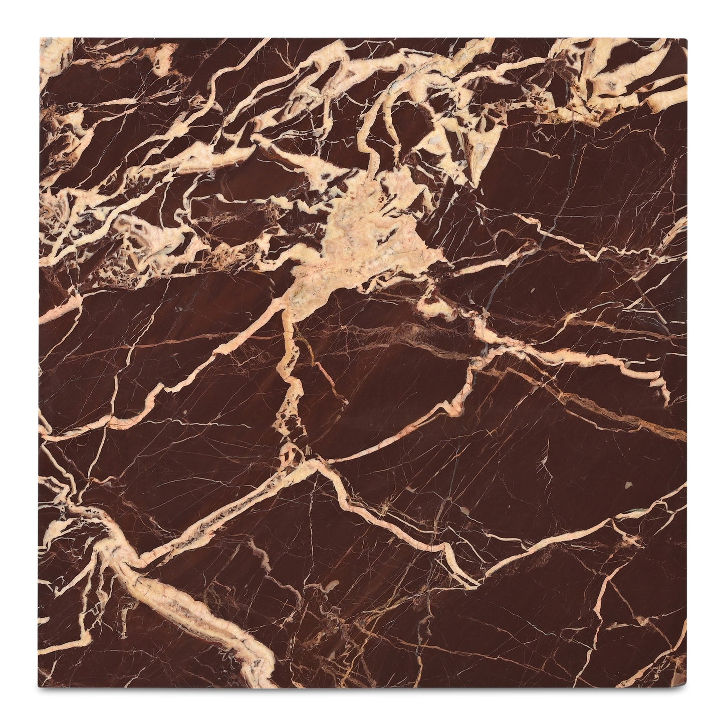 Rosa Coffee Table Rosso Levnato Marble by Moe's Home