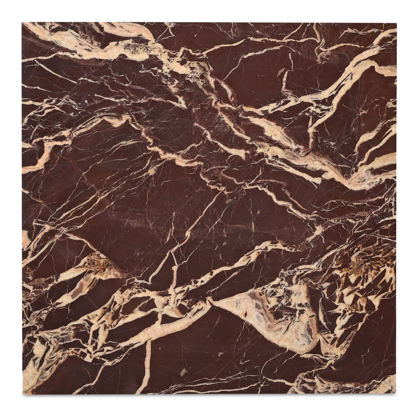 Rosa Coffee Table Rosso Levnato Marble by Moe's Home