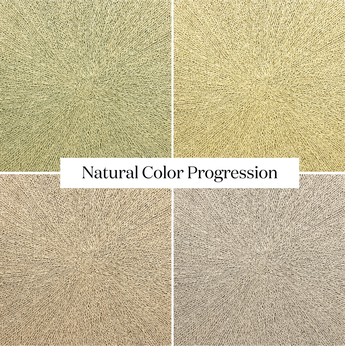 #color_light-natural