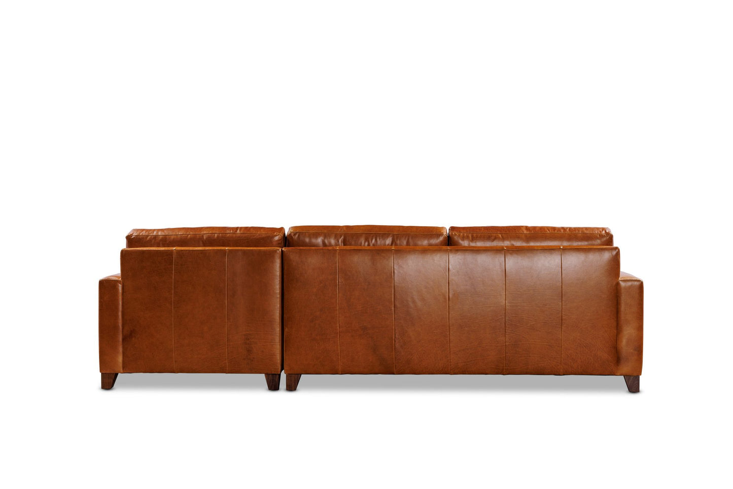 HAYDEN 2PC sectional in Sequoia Fawn leather — back view
