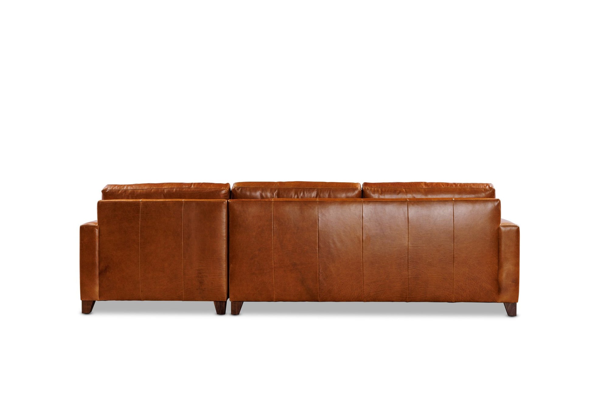 HAYDEN 2PC sectional in Sequoia Fawn leather — back view