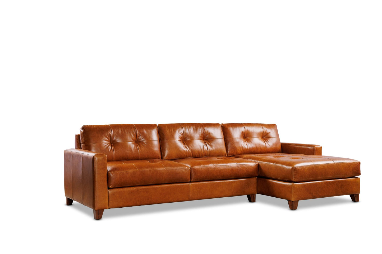 HAYDEN 2PC sectional in Sequoia Fawn leather — alternate view