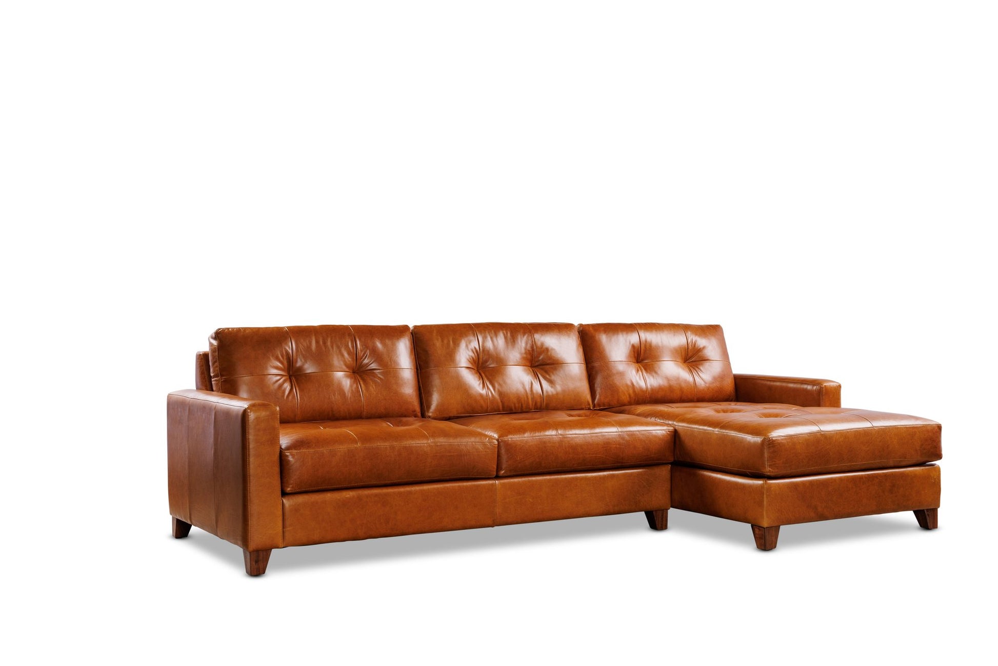 HAYDEN 2PC sectional in Sequoia Fawn leather — alternate view