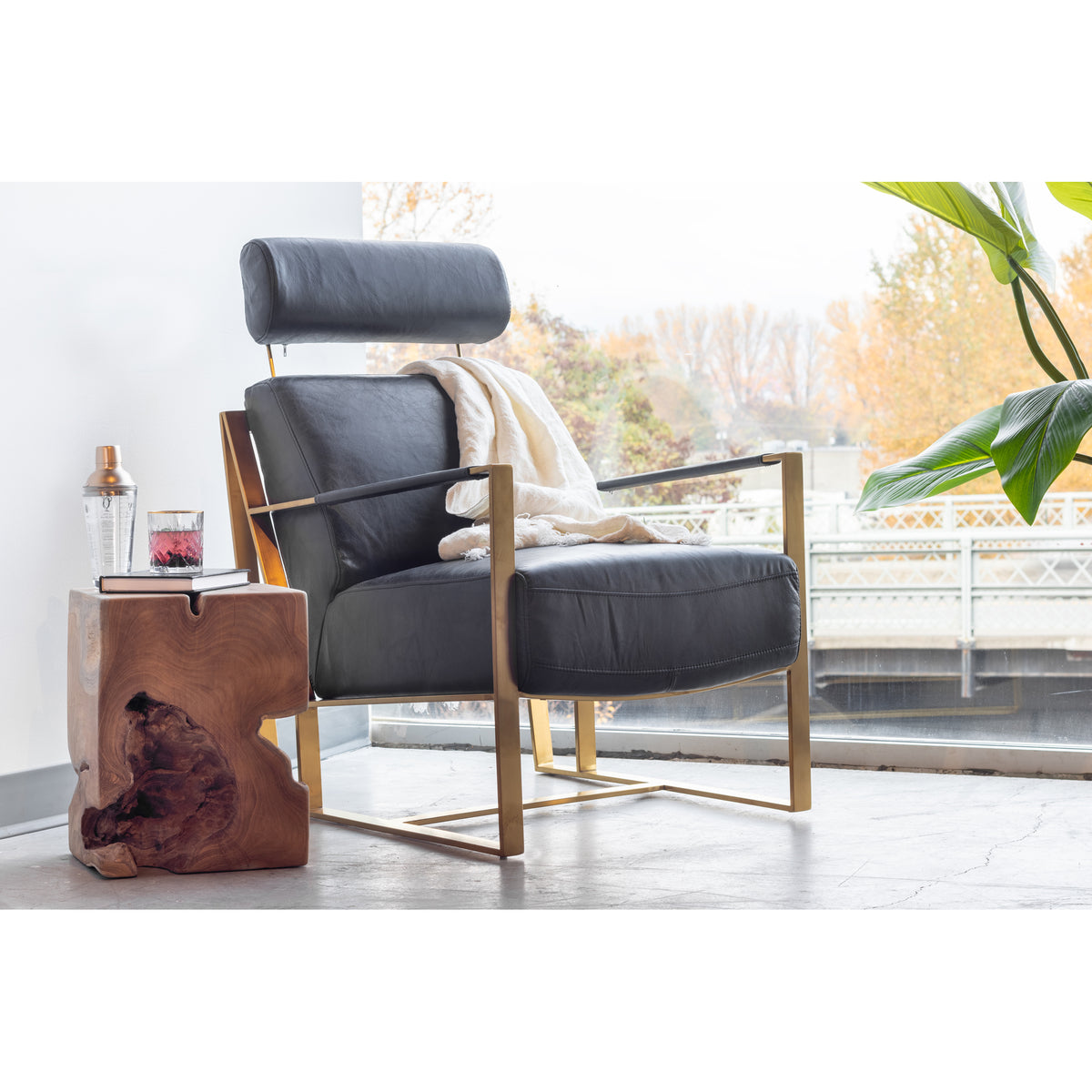 Paradiso Chair Black by Moe's Home