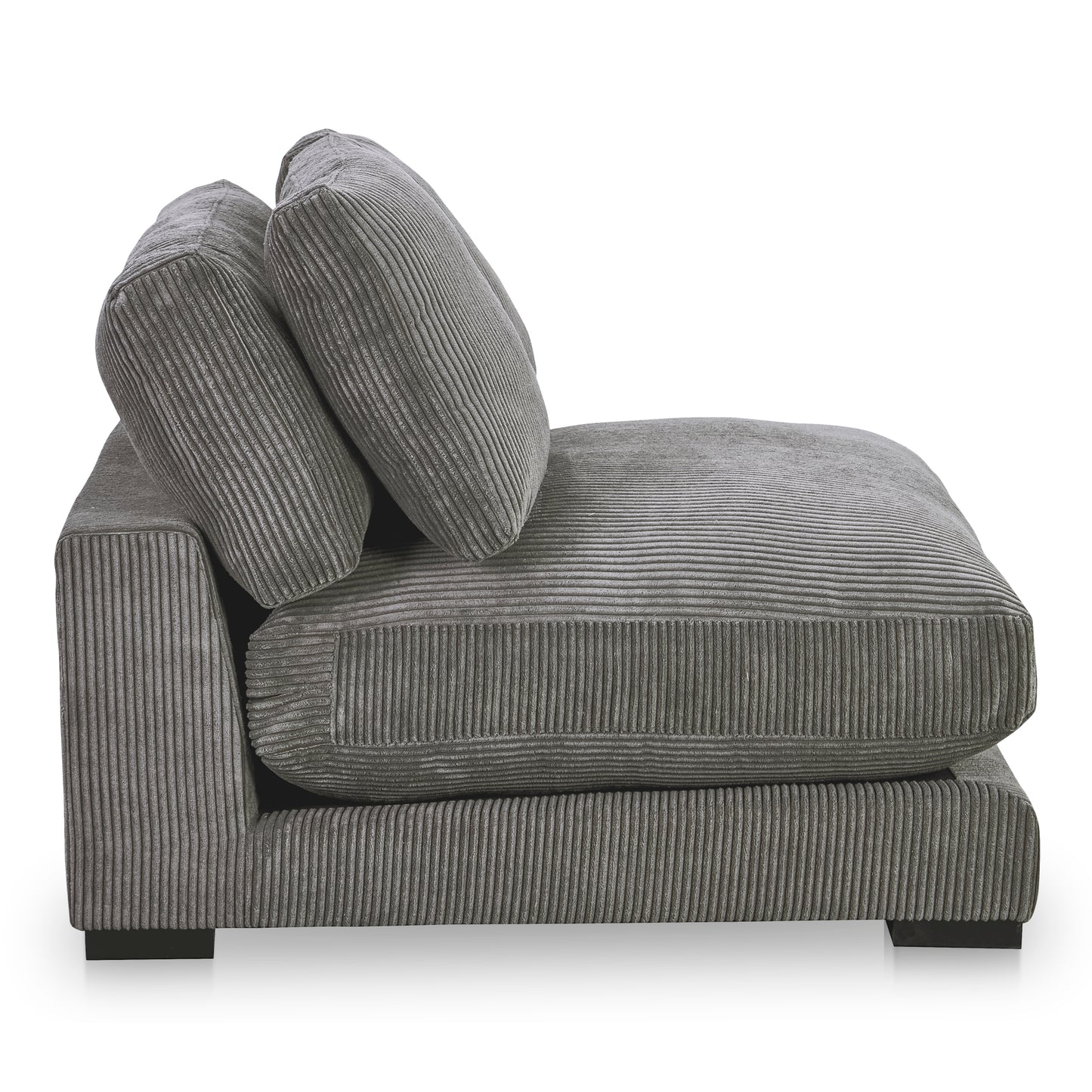 Plunge Slipper Chair Charcoal by Moe's Home