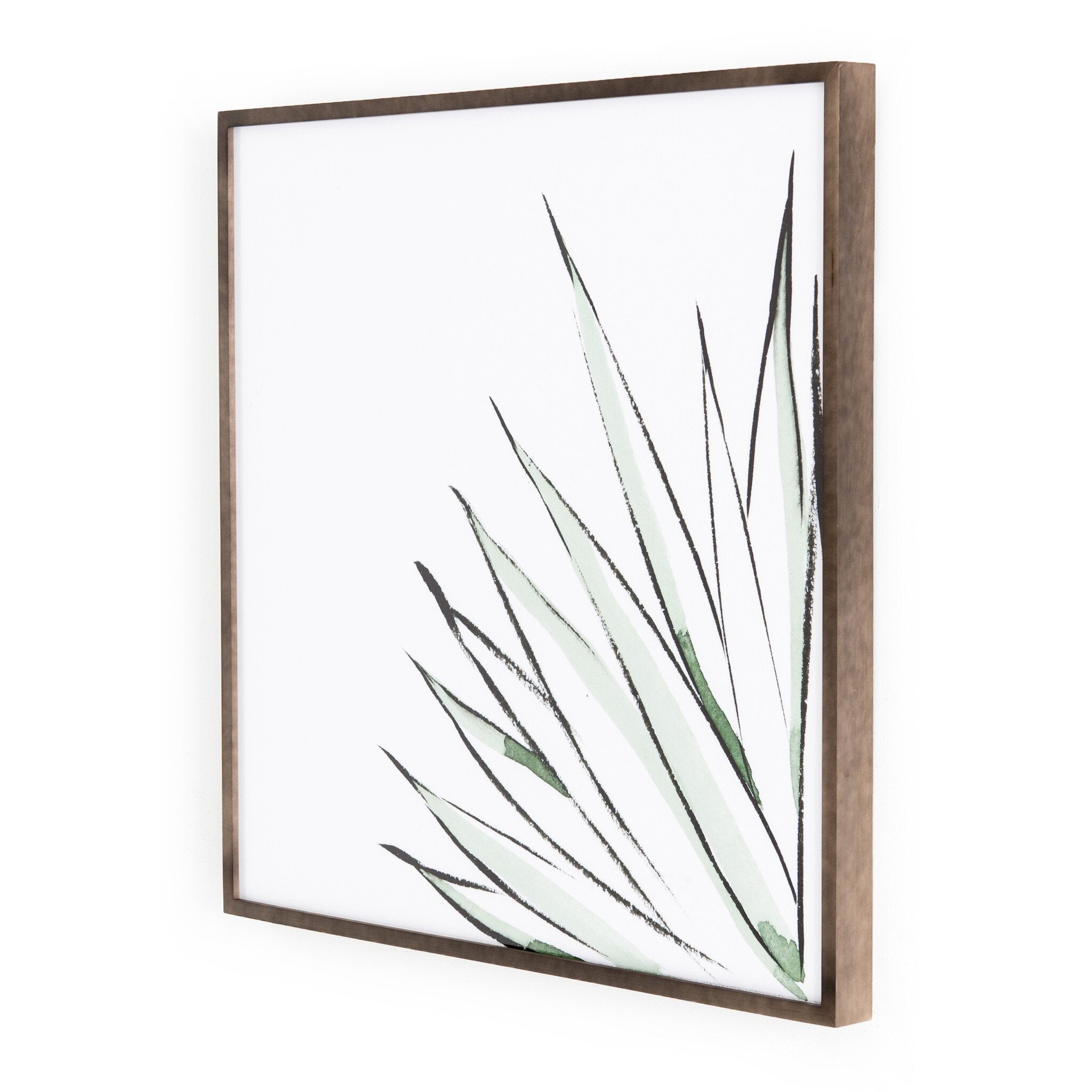 Botanicals By Jess Engle
