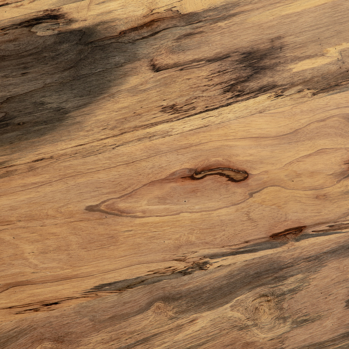 #color_spalted-primavera