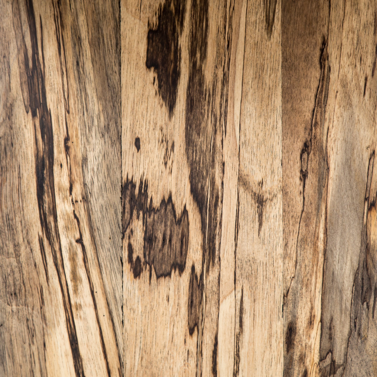 #color_spalted-primavera