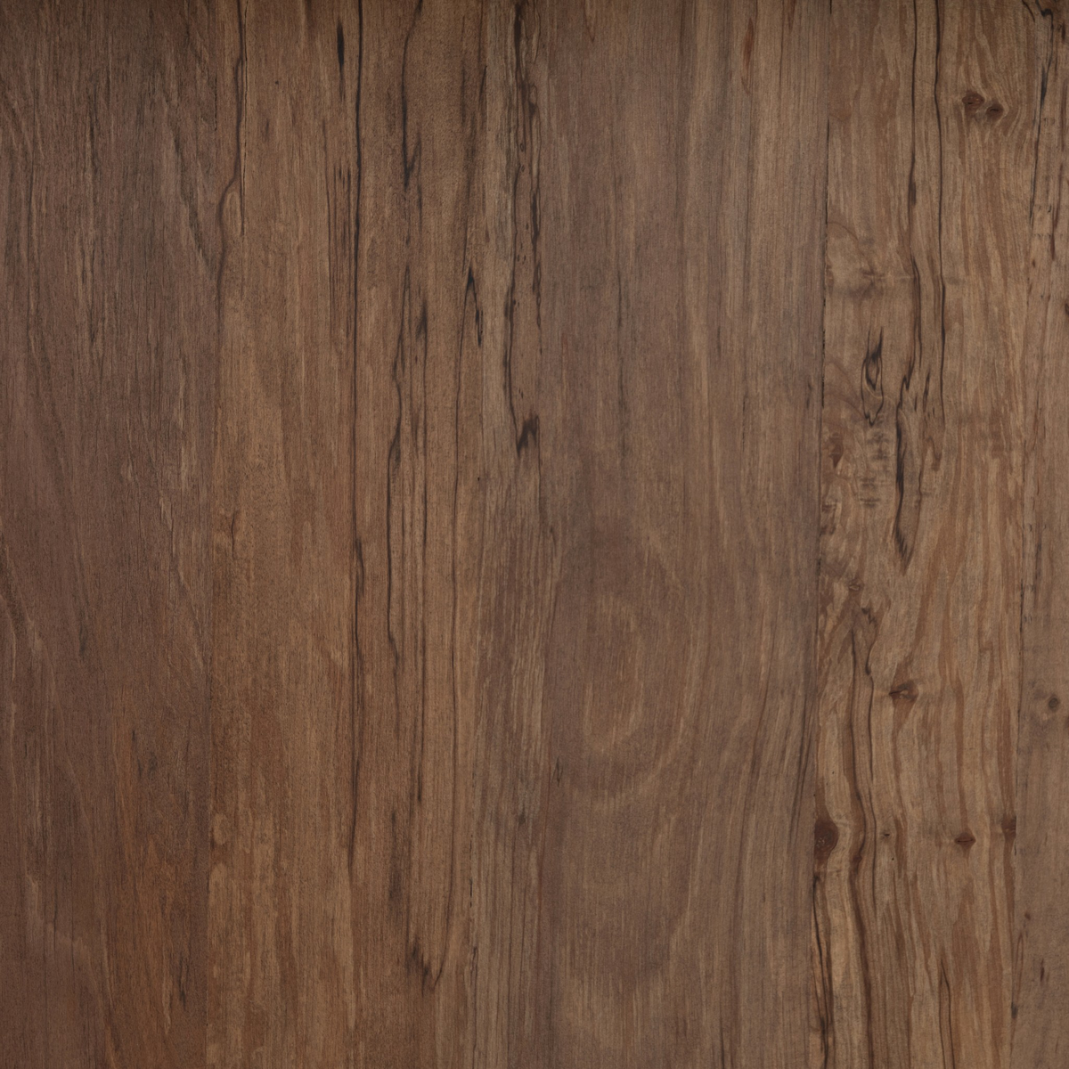 #color_dark-spalted-primavera