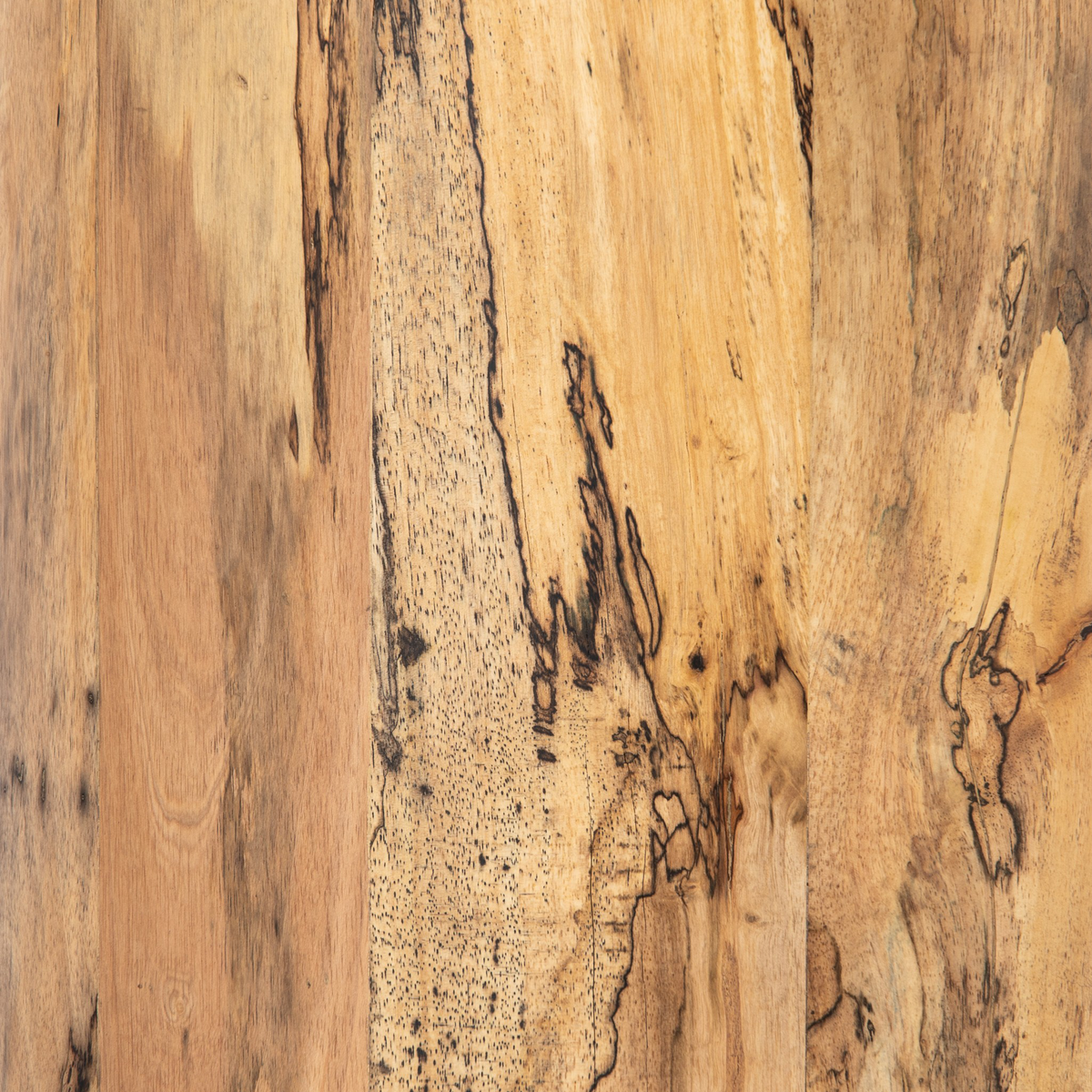 #color_spalted-primavera