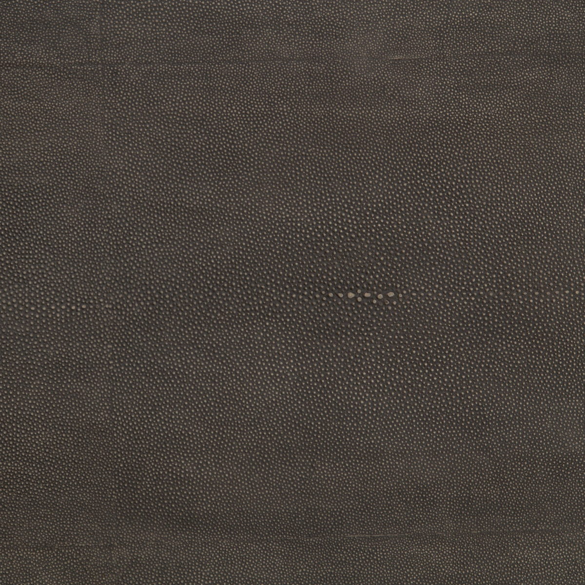 Shagreen Shadow Box Coffee Table