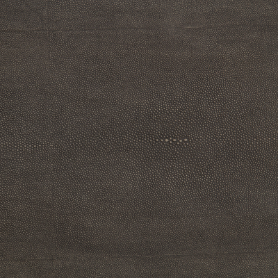 Shagreen Shadow Box Coffee Table