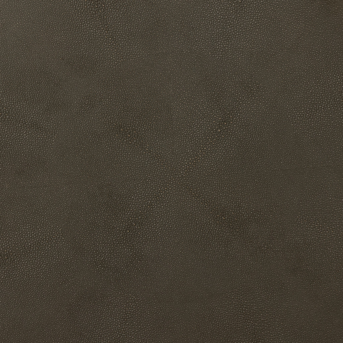 #color_grey-shagreen