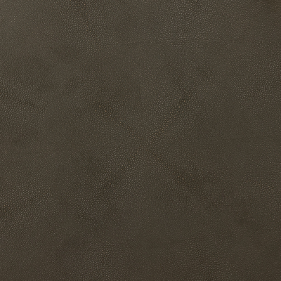 Shagreen Nesting Coffee Table